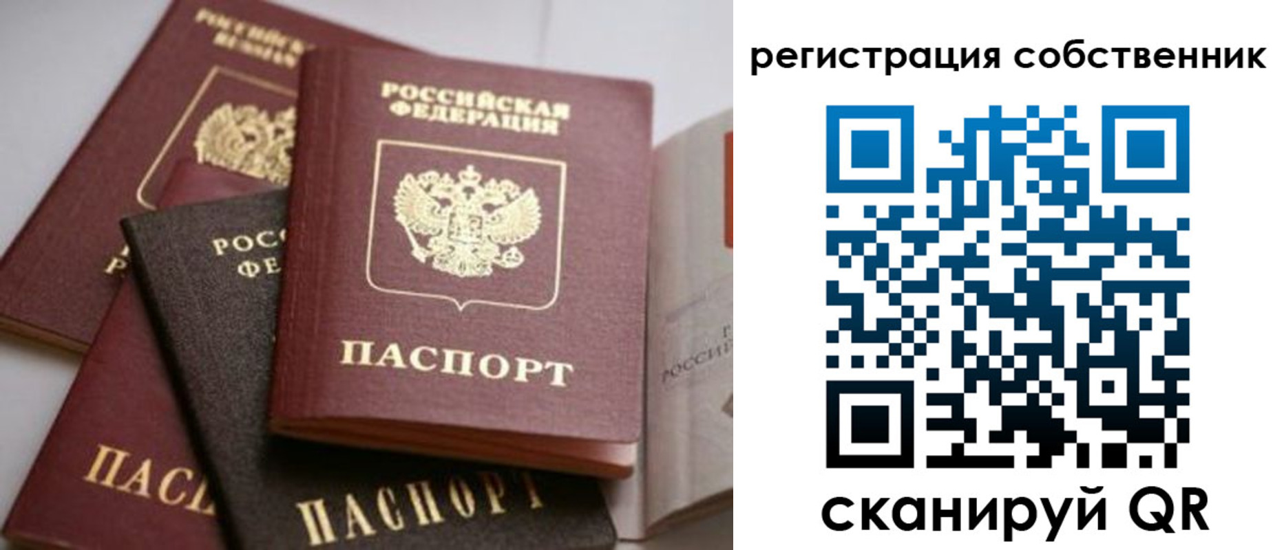 временная регистрация поиск в Асбесте